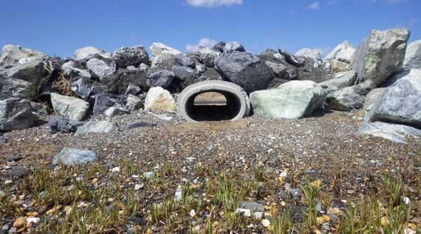Turtle tunnel